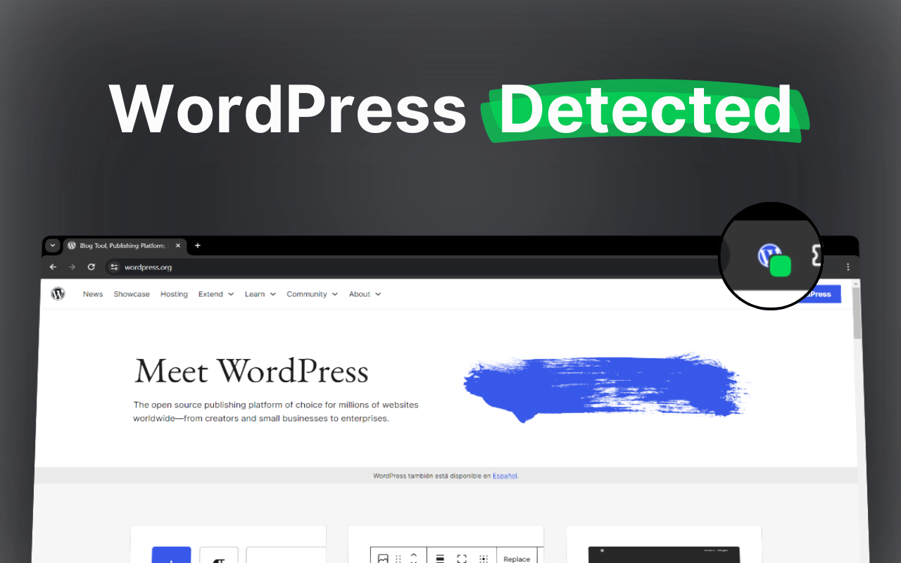 WordPress主题和插件检测器