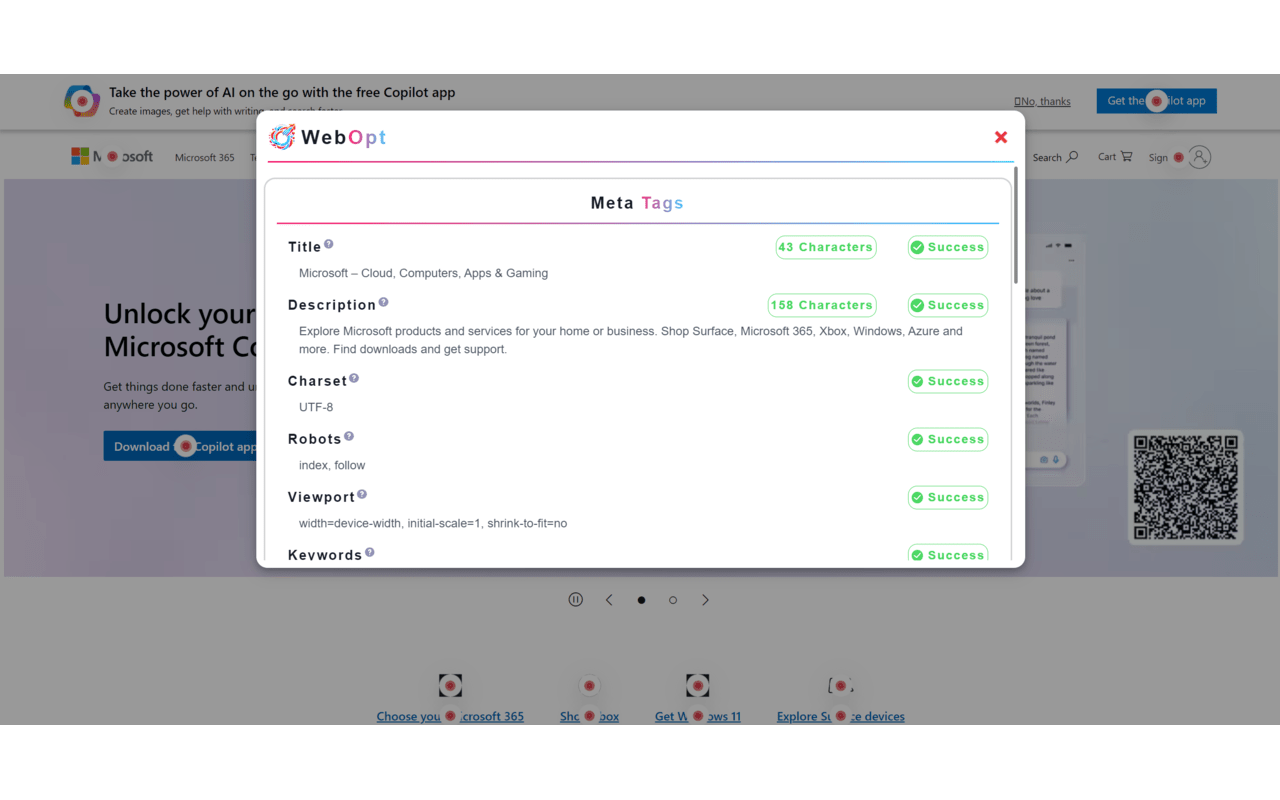 Webopt - Website Testing Tool