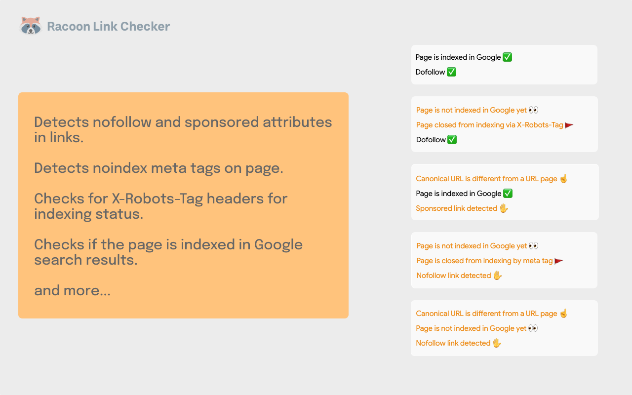 Racoon SEO Link Checker