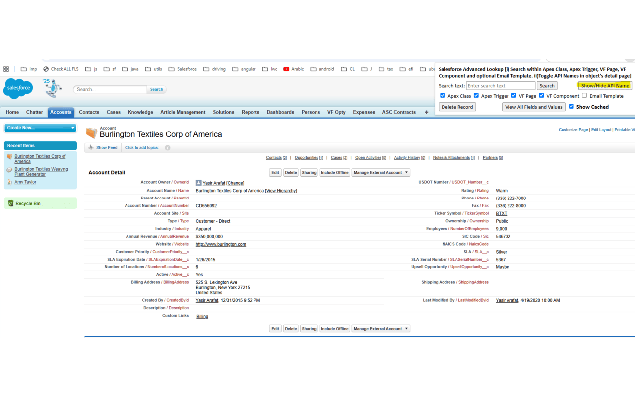 Salesforce Advanced Search & Record Details