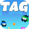 Tag 游戏 - 在这场令人兴奋的追逐游戏中超越你的朋友！