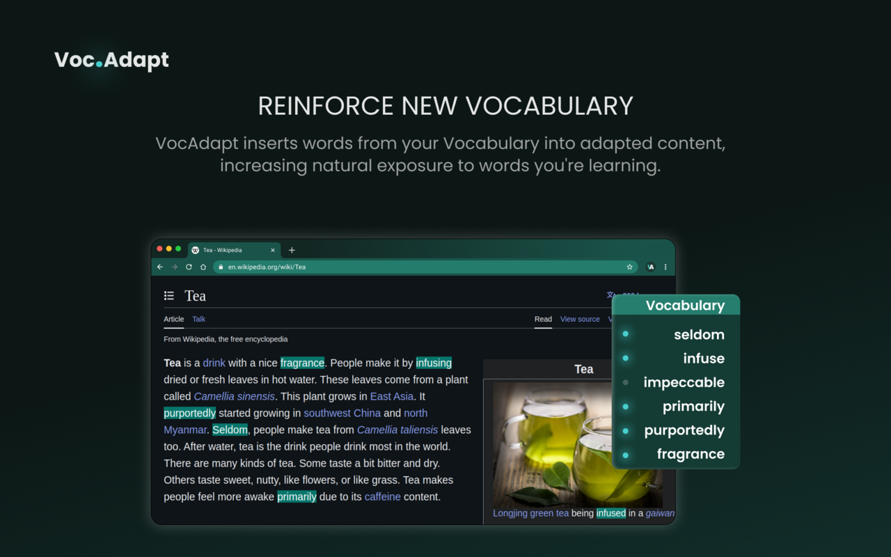 VocAdapt – Language Learning with Simplified Content