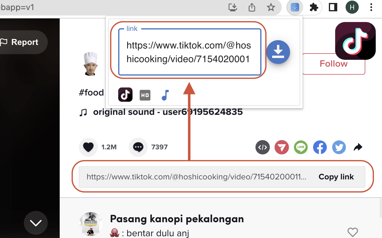 抖音 Tiktok 高清无水印视频下载（免费)