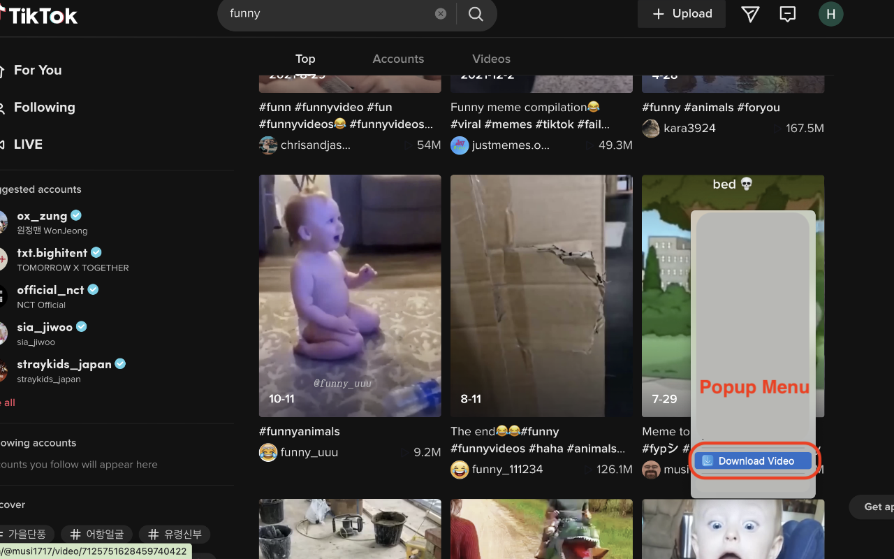 抖音 Tiktok 高清无水印视频下载（免费)