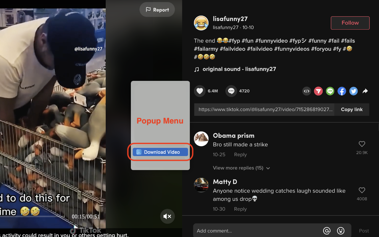 抖音 Tiktok 高清无水印视频下载（免费)