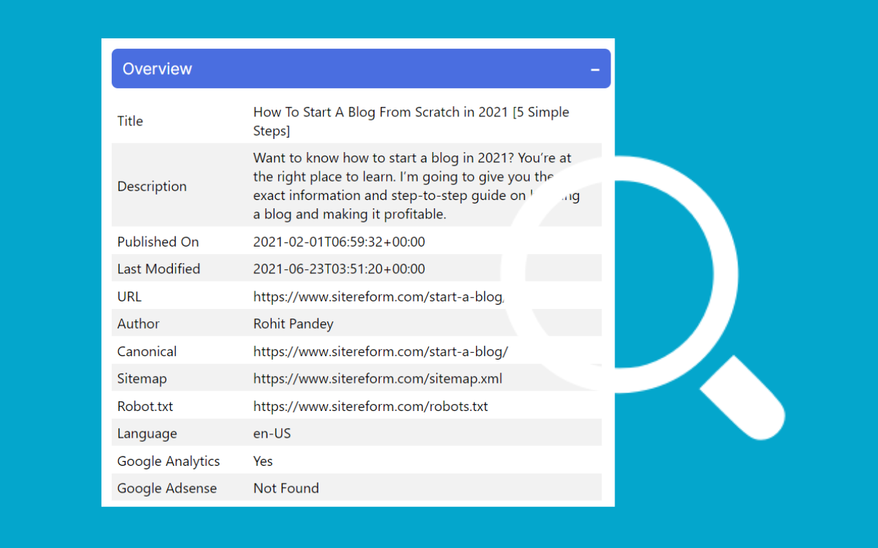 Webpage Analyzer - SEO Tool