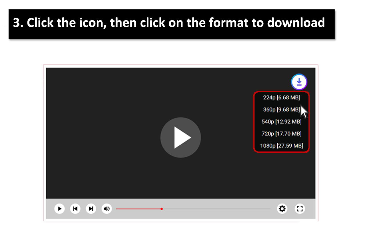 Wistia Video Downloader Plus