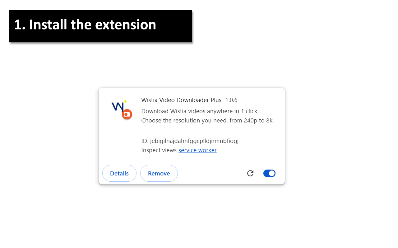 Wistia Video Downloader Plus