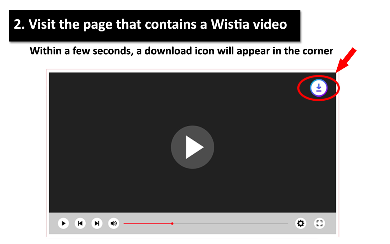 Wistia Video Downloader Plus