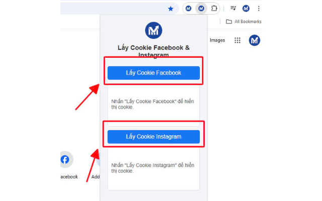 Facebook & Instagram Cookie Grabber - VSM