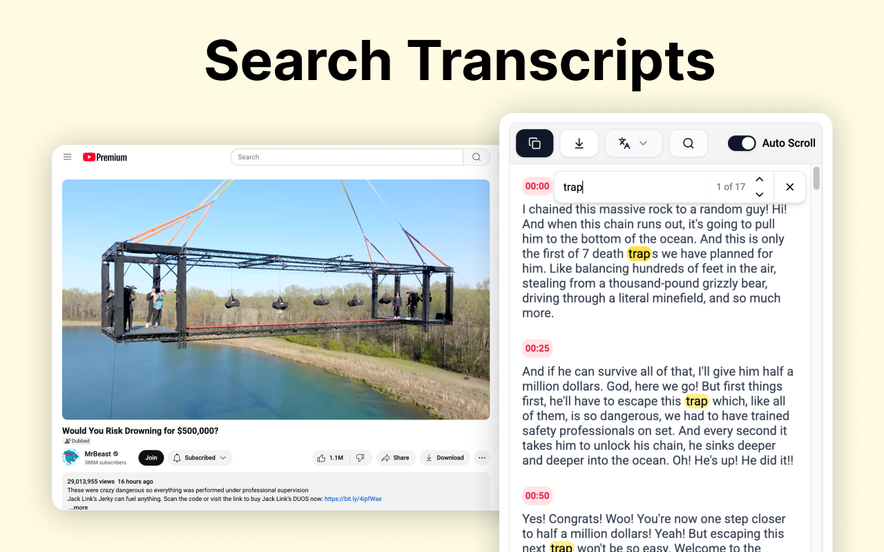 Youtube Transcript Generator
