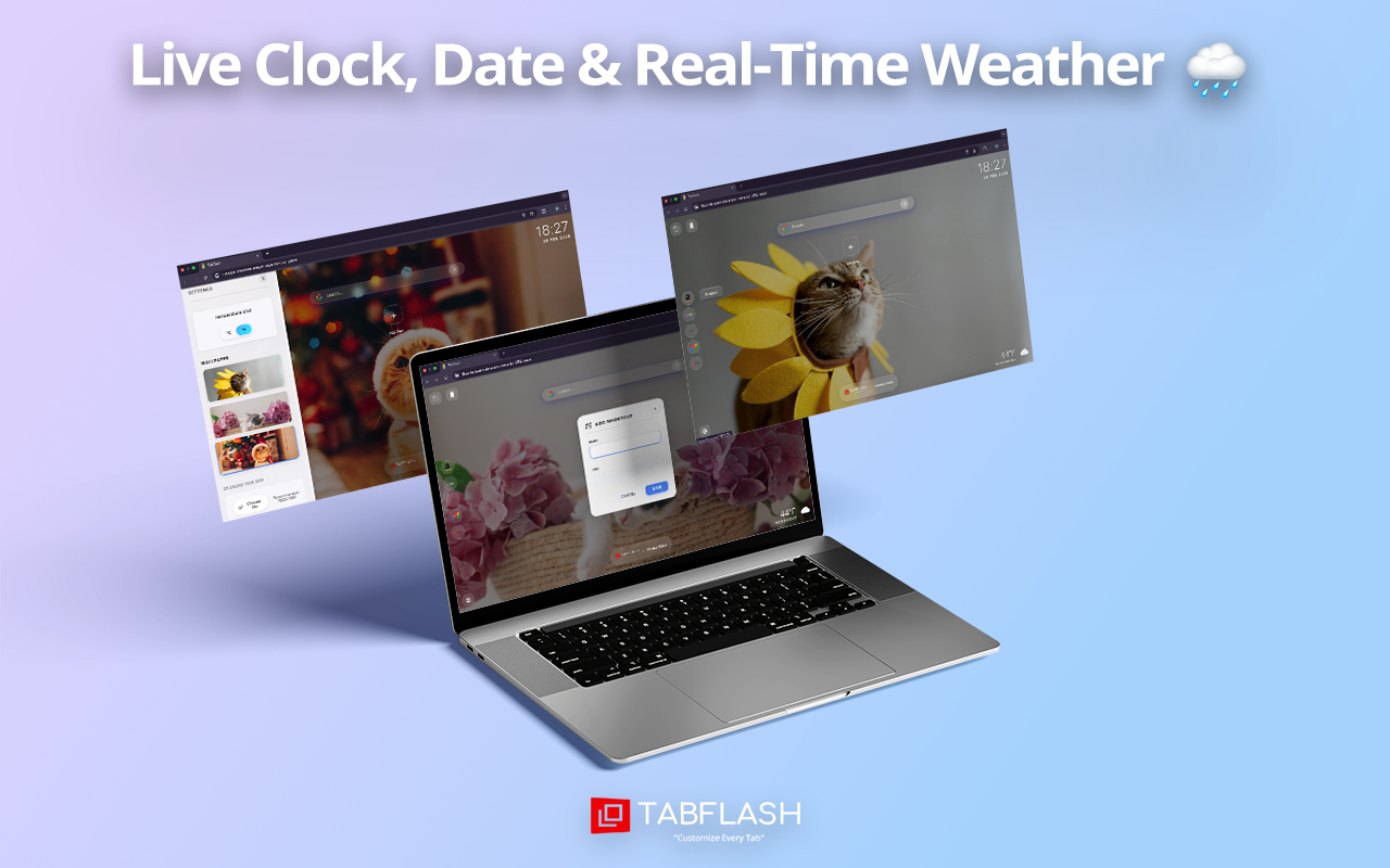 猫壁纸 - white cat wallpaper