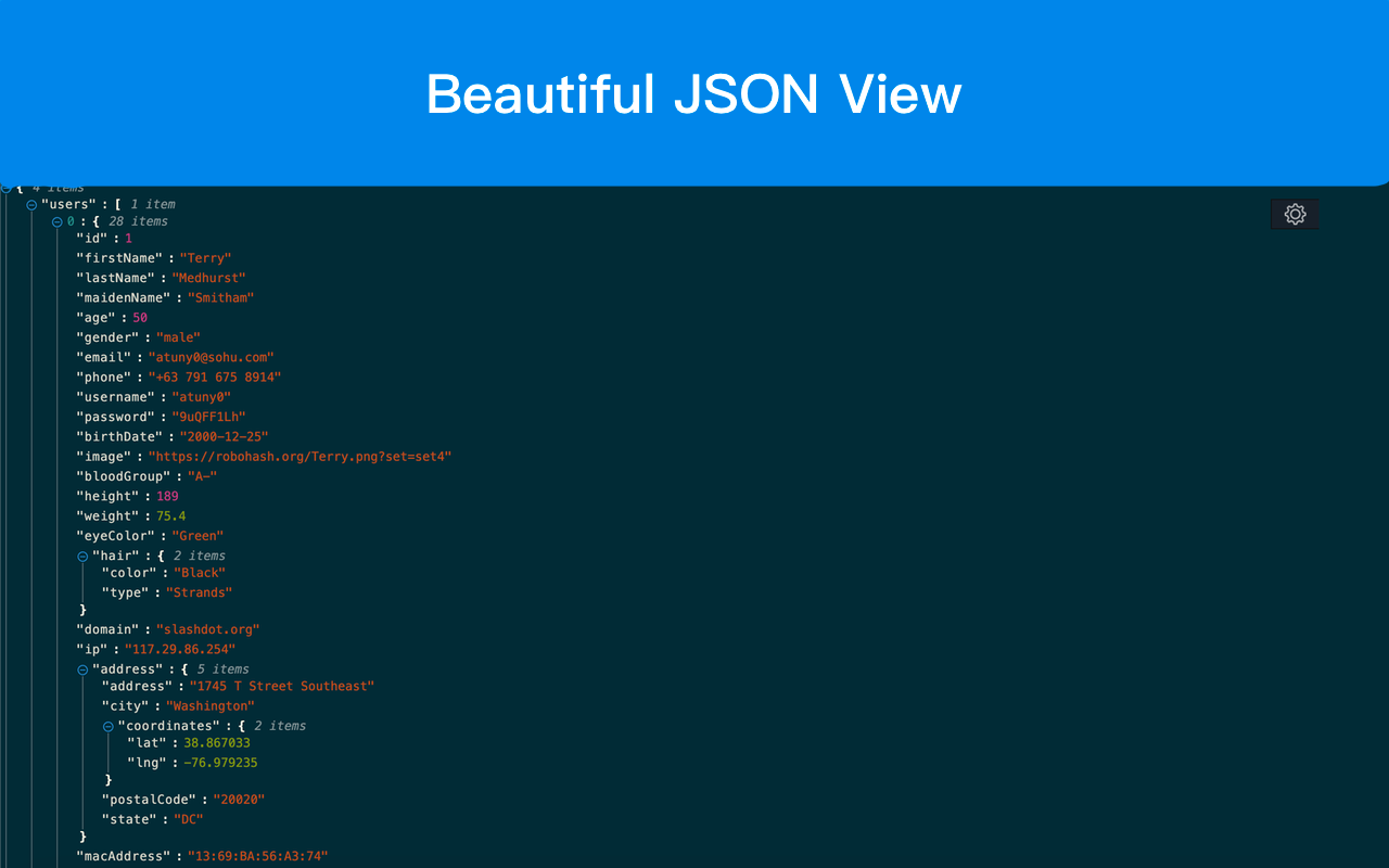 JSON View Pro
