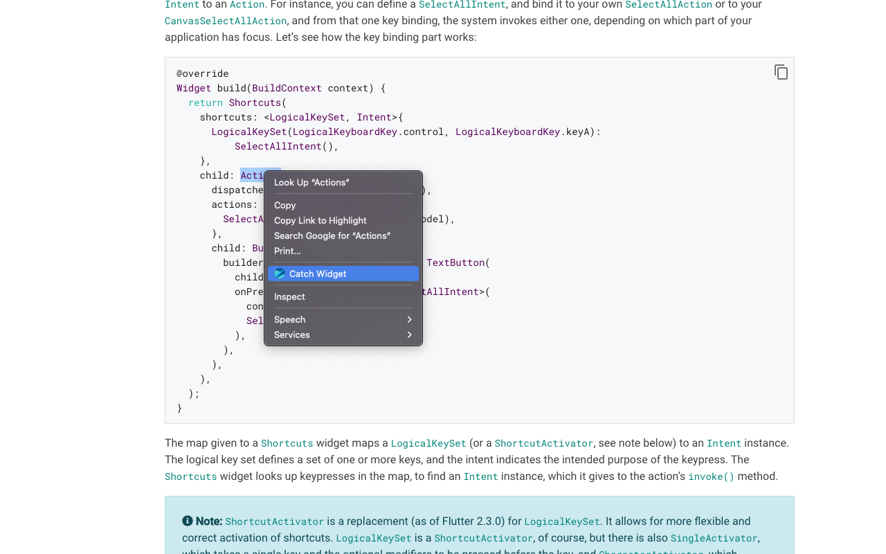 Flutter Widget Catcher