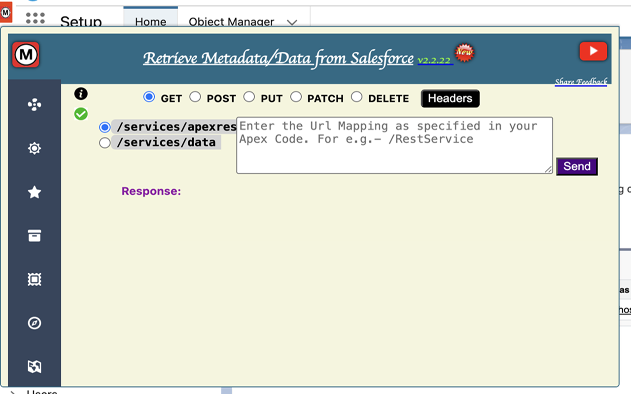 Retrieve Metadata/Data from Salesforce