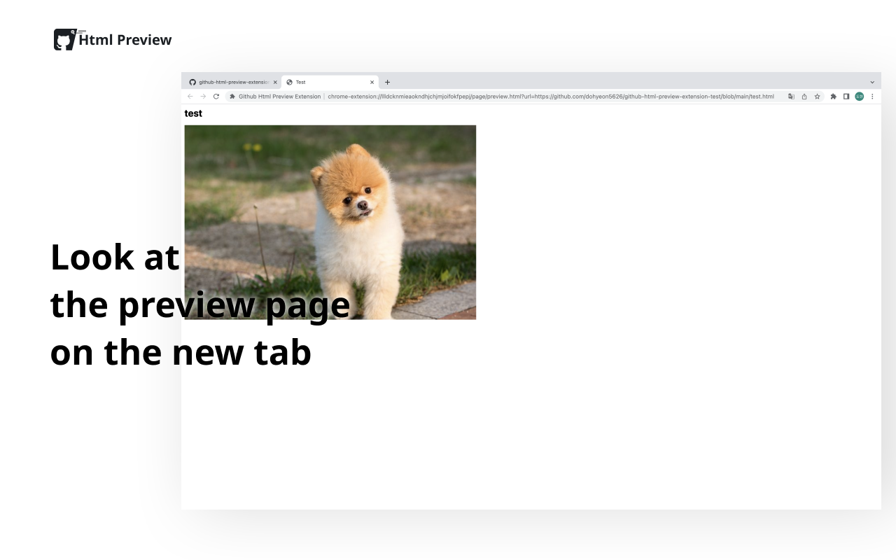 Github Html Preview
