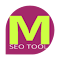 MASTER SEO Tool- SERP Counter & Meta