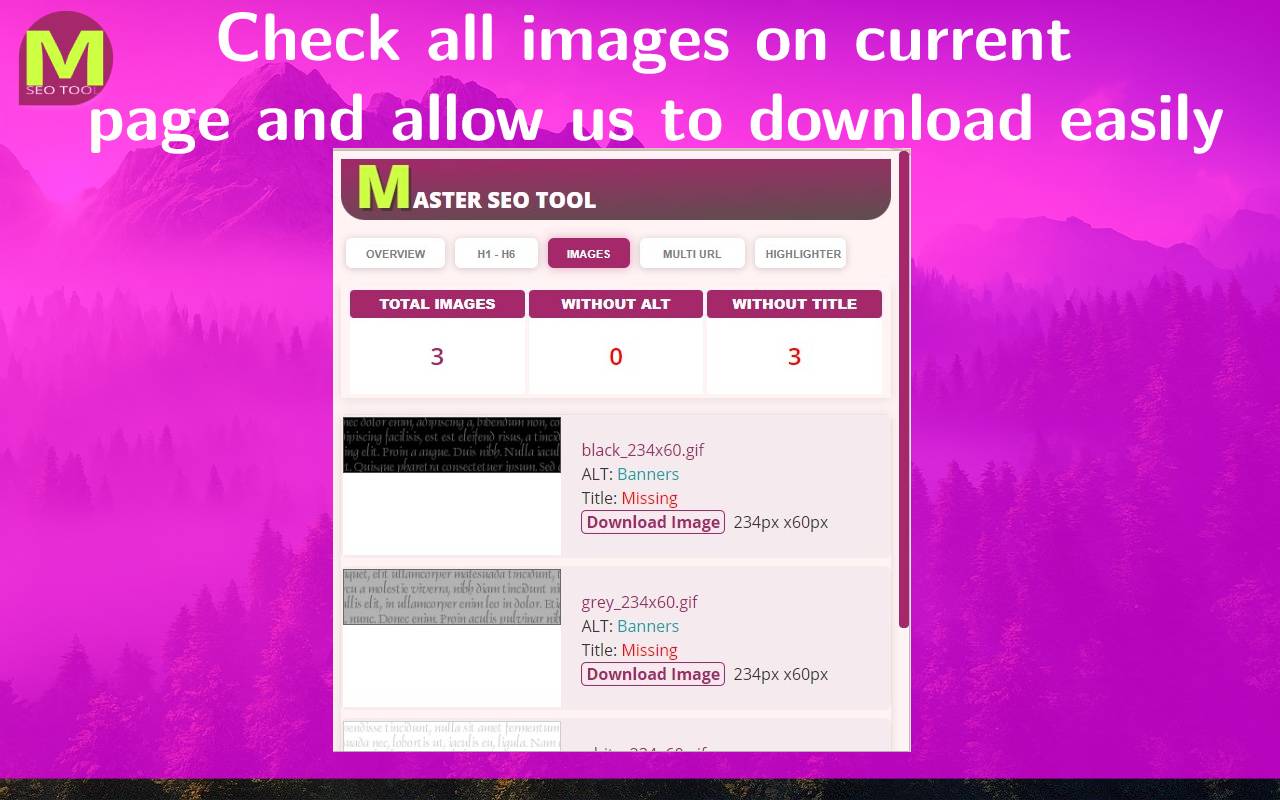 MASTER SEO Tool- SERP Counter & Meta