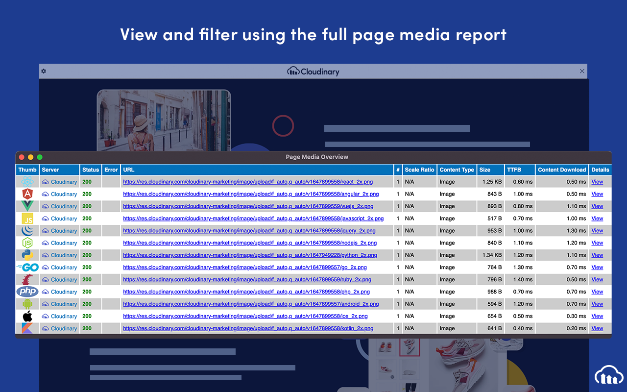 Cloudinary Media Inspector