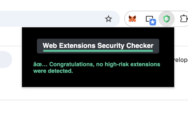 Web Extensions Security Checker