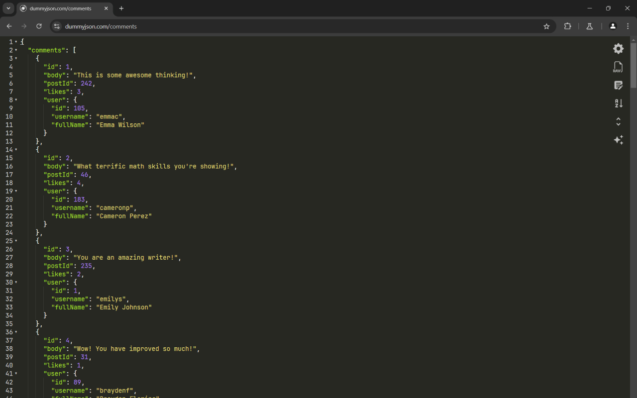 JSON & Code Viewer