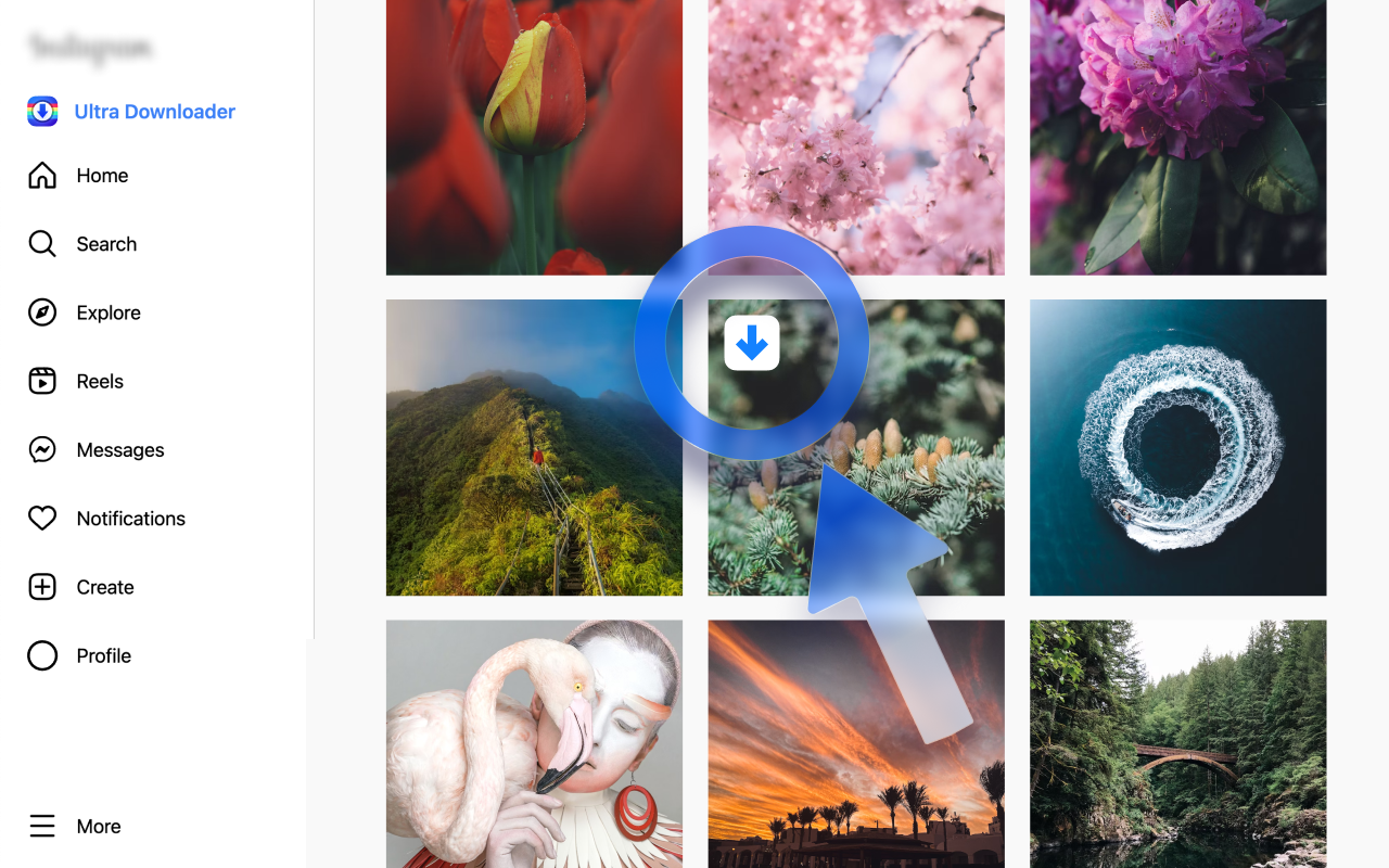 Ultra Downloader for Instagram