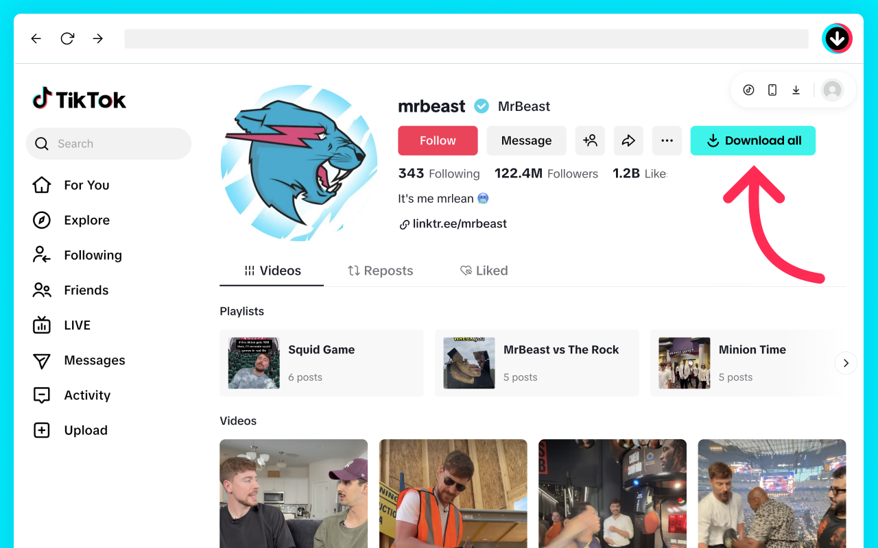 TikTok 下载器 – 保存无水印视频