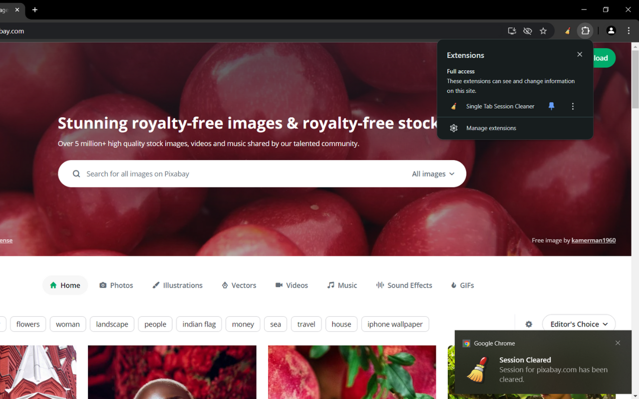 Single Tab Session Cleaner