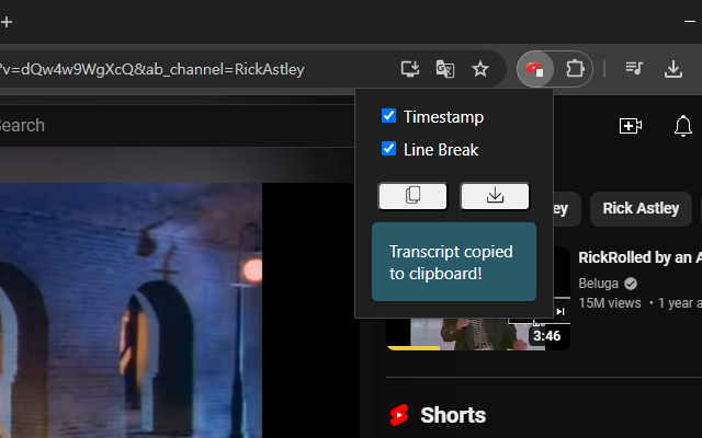 YouTube Script Extractor
