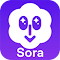 Sora 2 视频下载器 - zData.vn