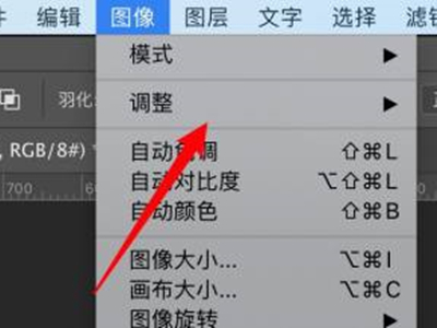 ps照片蓝底怎么换成白底
