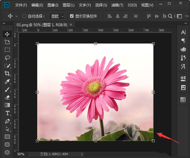 ps怎么添加海报边缘滤镜效果