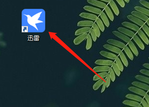 迅雷11如何查看组件版本