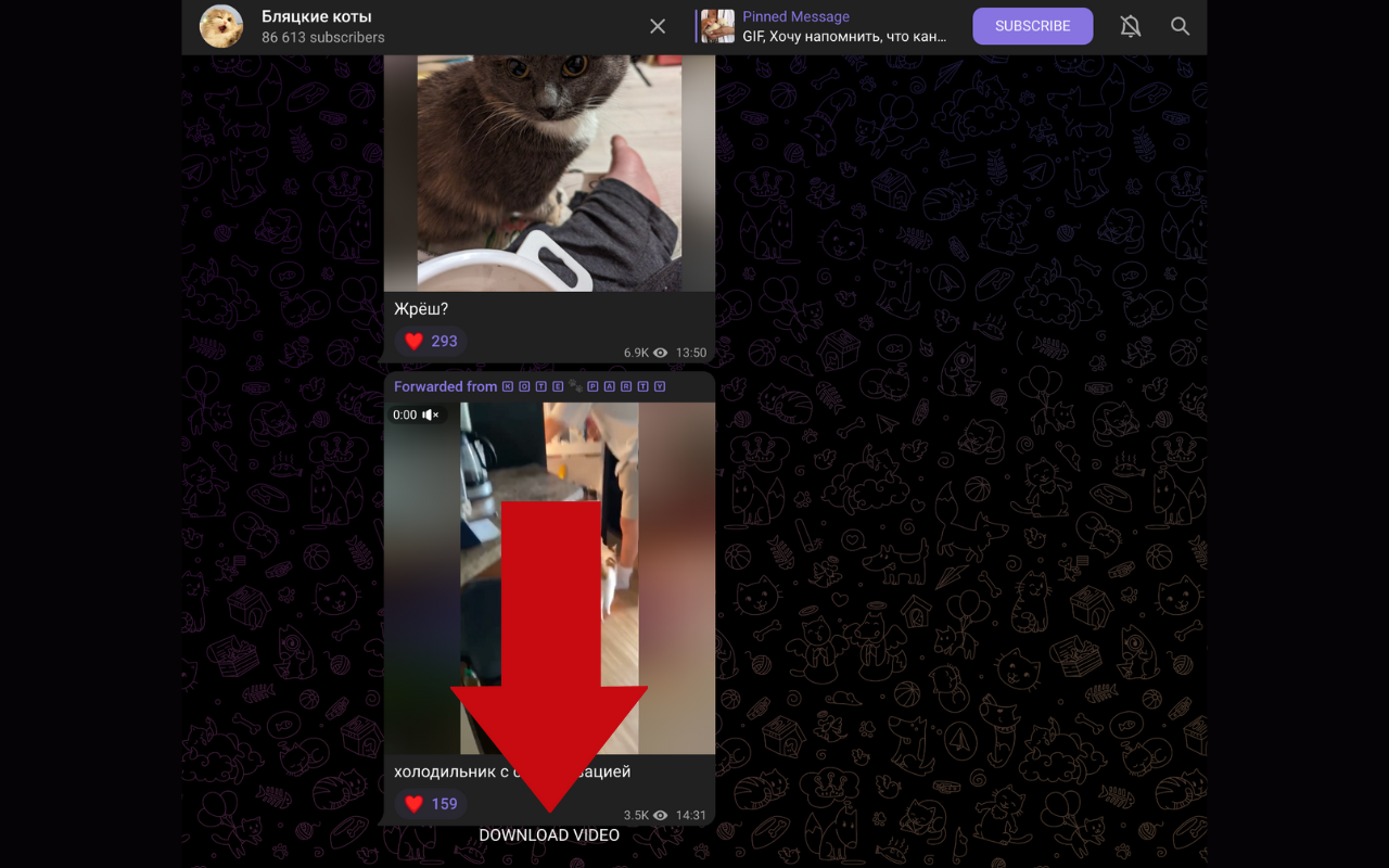 Telegram Video Downloader