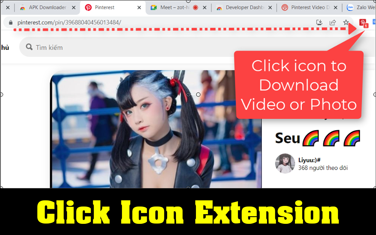 Pinterest Video Downloader