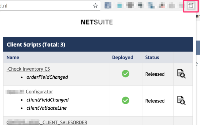 NetSuite Scripted Records