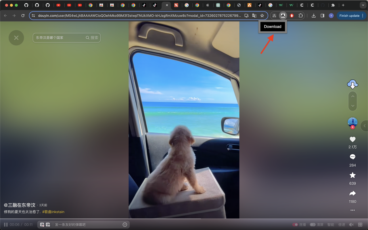 Simple Douyin Downloader 简单抖音下载器