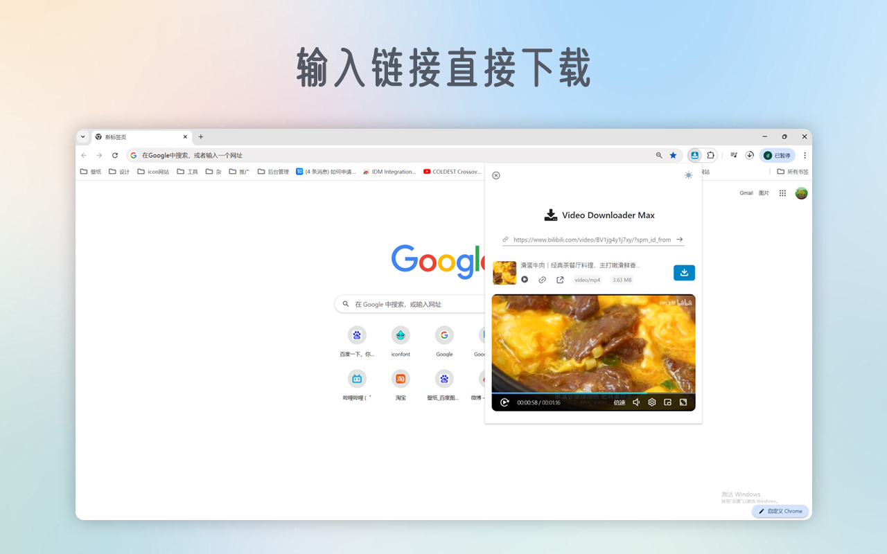 VidDown - 专业视频下载器