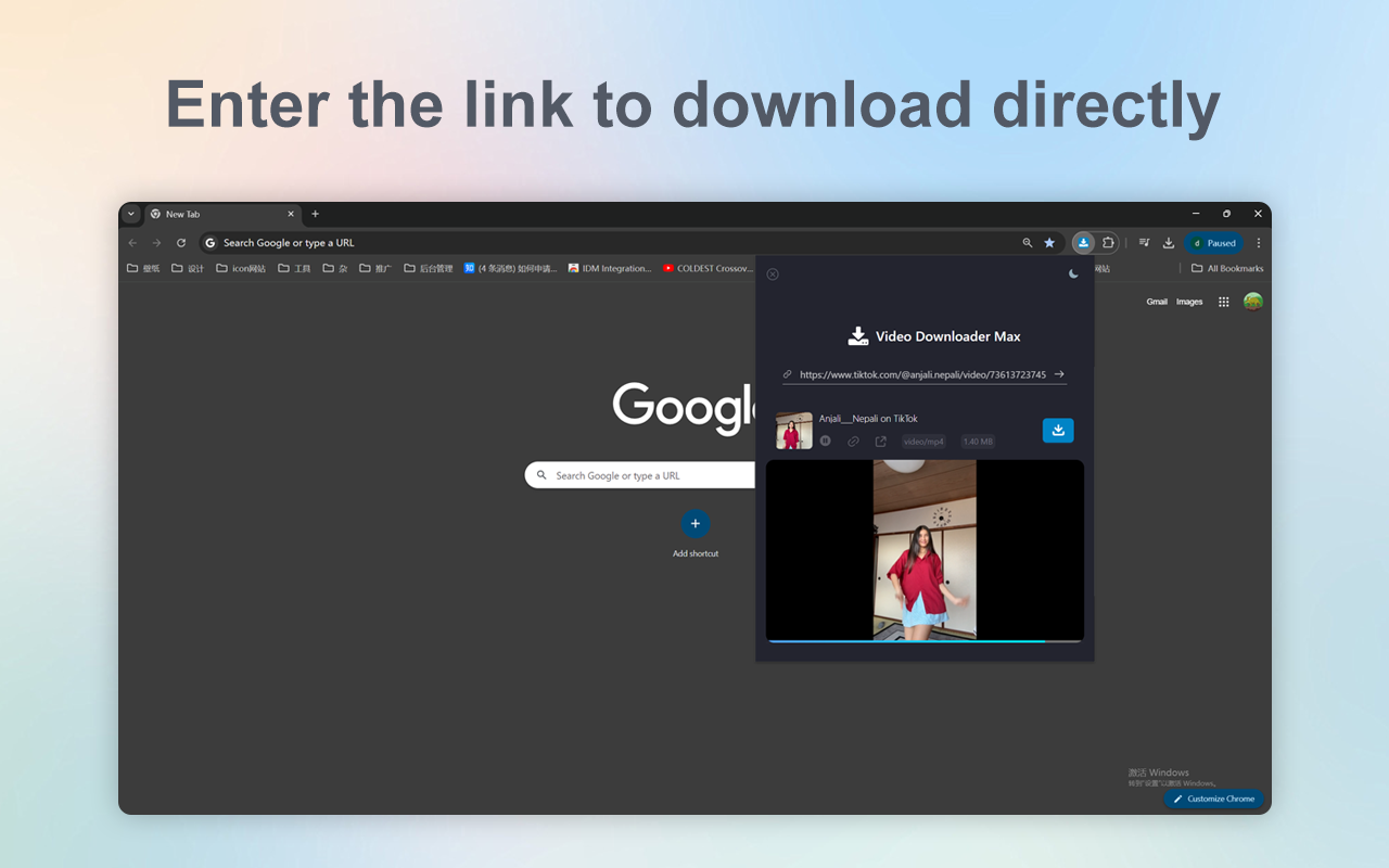 VidDown - 专业视频下载器
