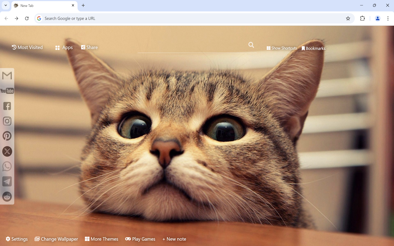 Cute Cats & Kittens Wallpaper