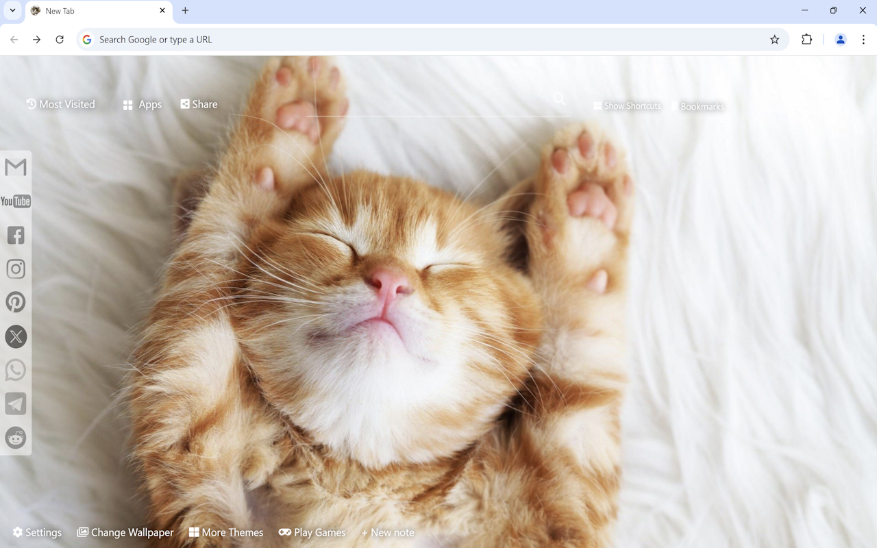 Cute Cats & Kittens Wallpaper