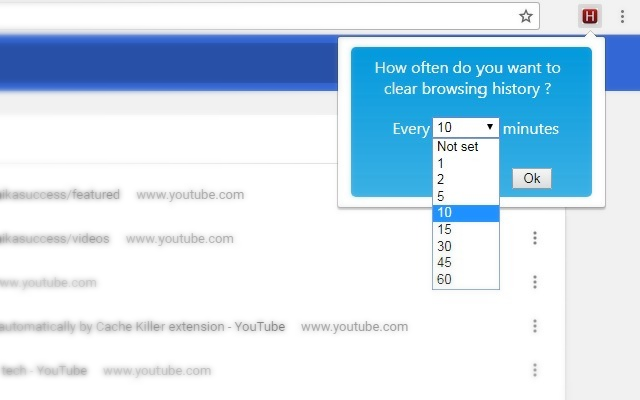 Chrome History Cleaner