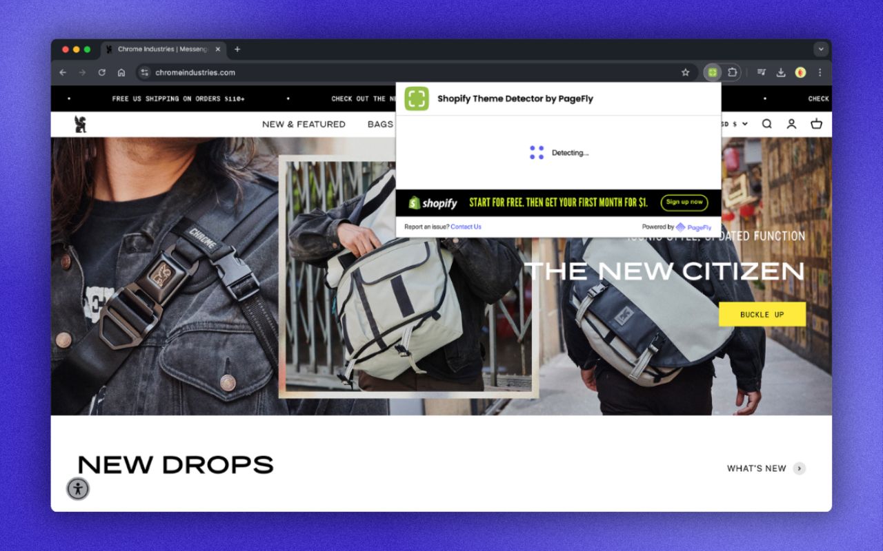Shopify Theme Detector by PageFly Extension