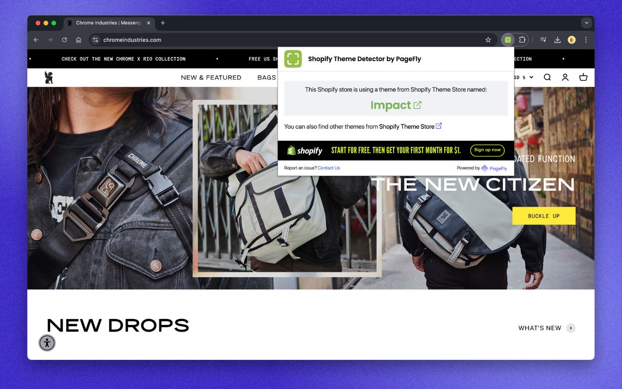 Shopify Theme Detector by PageFly Extension