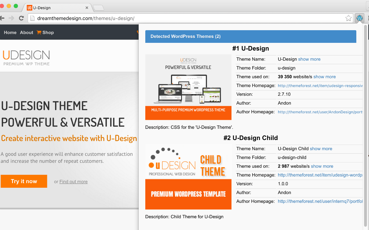 WordPress Theme Detector and Plugin Detector