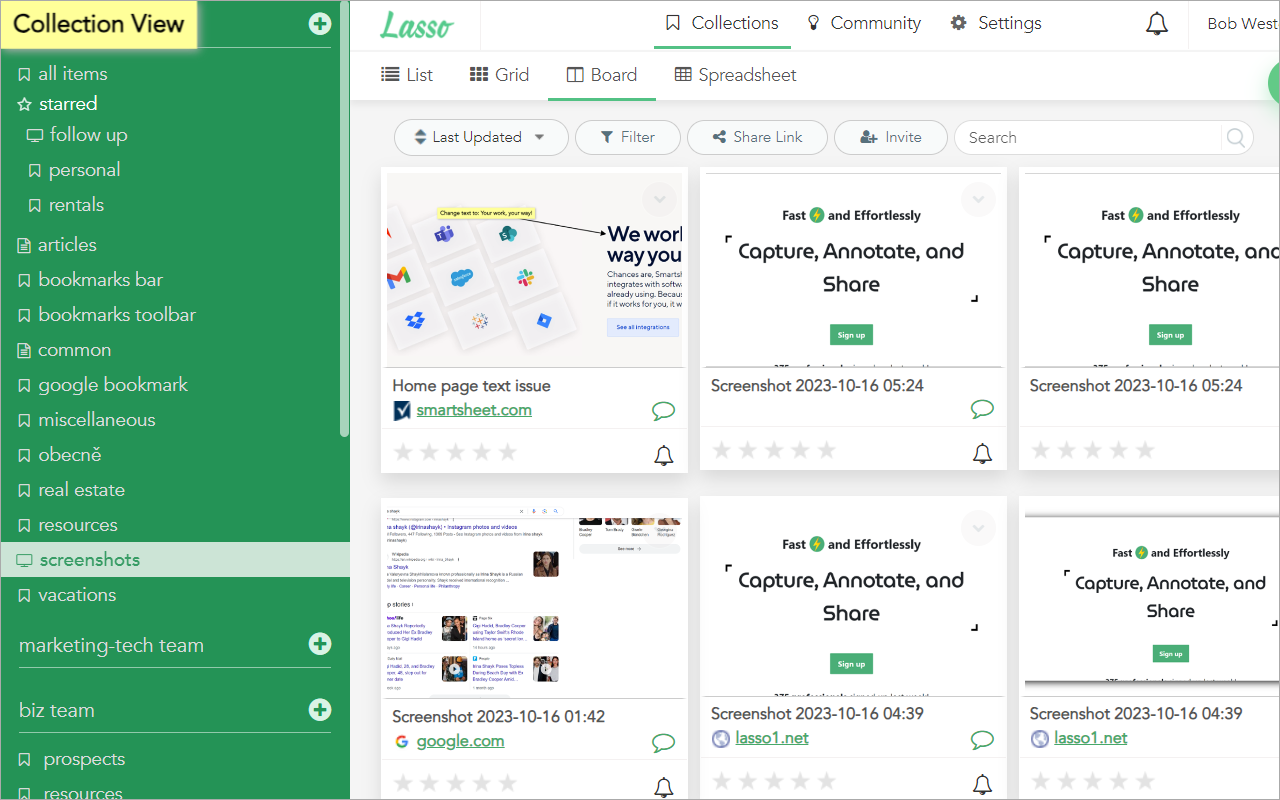 Screenshot & Bookmark Manager by Lasso