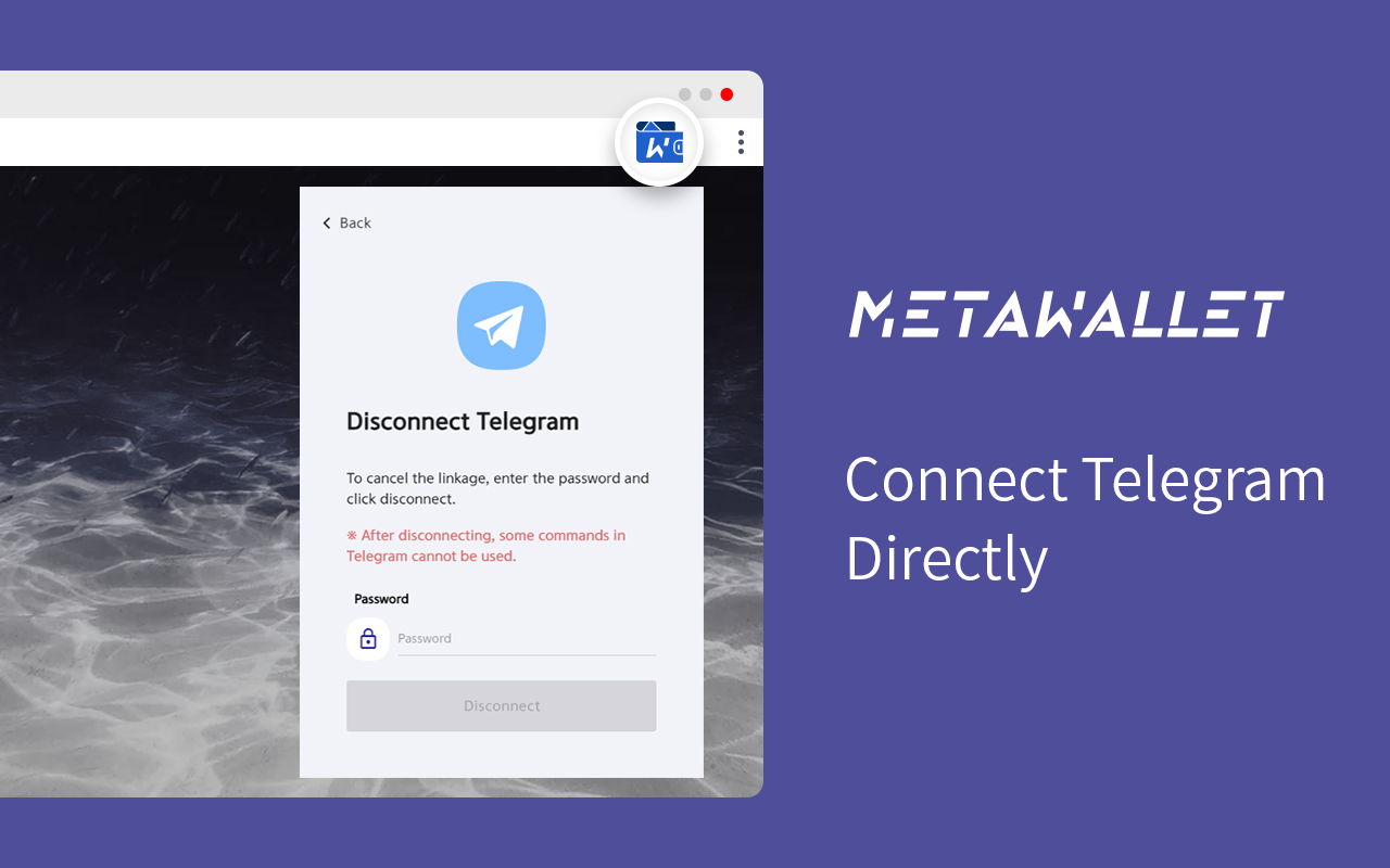 MetaWallet