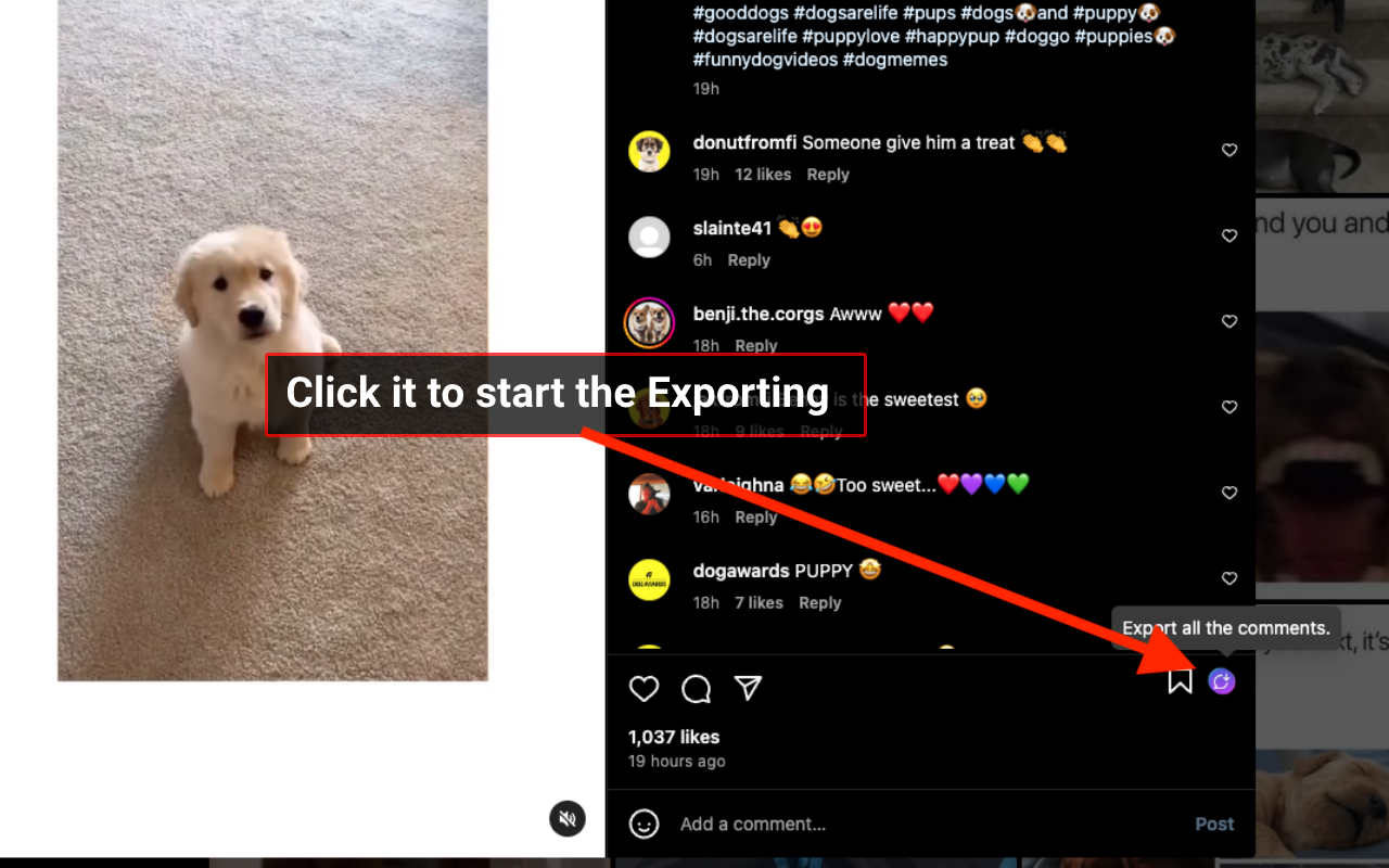 ESUIT | Comments Exporter for Instagram™
