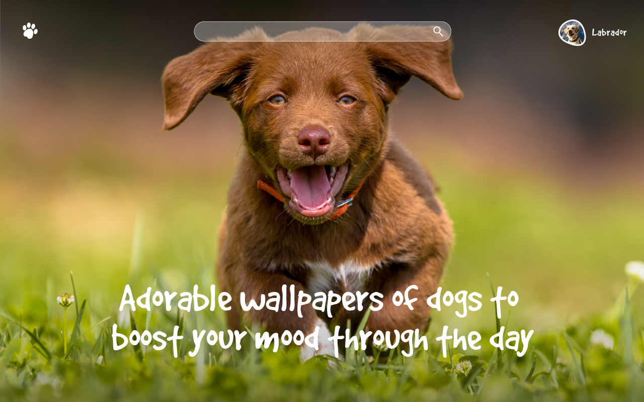Wallpaper Dogs & Puppies New Tab