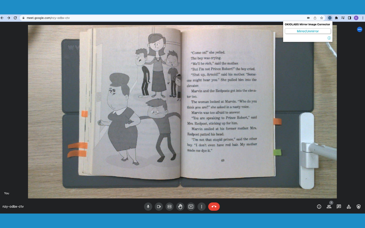 OKIO Mirror Image Corrector